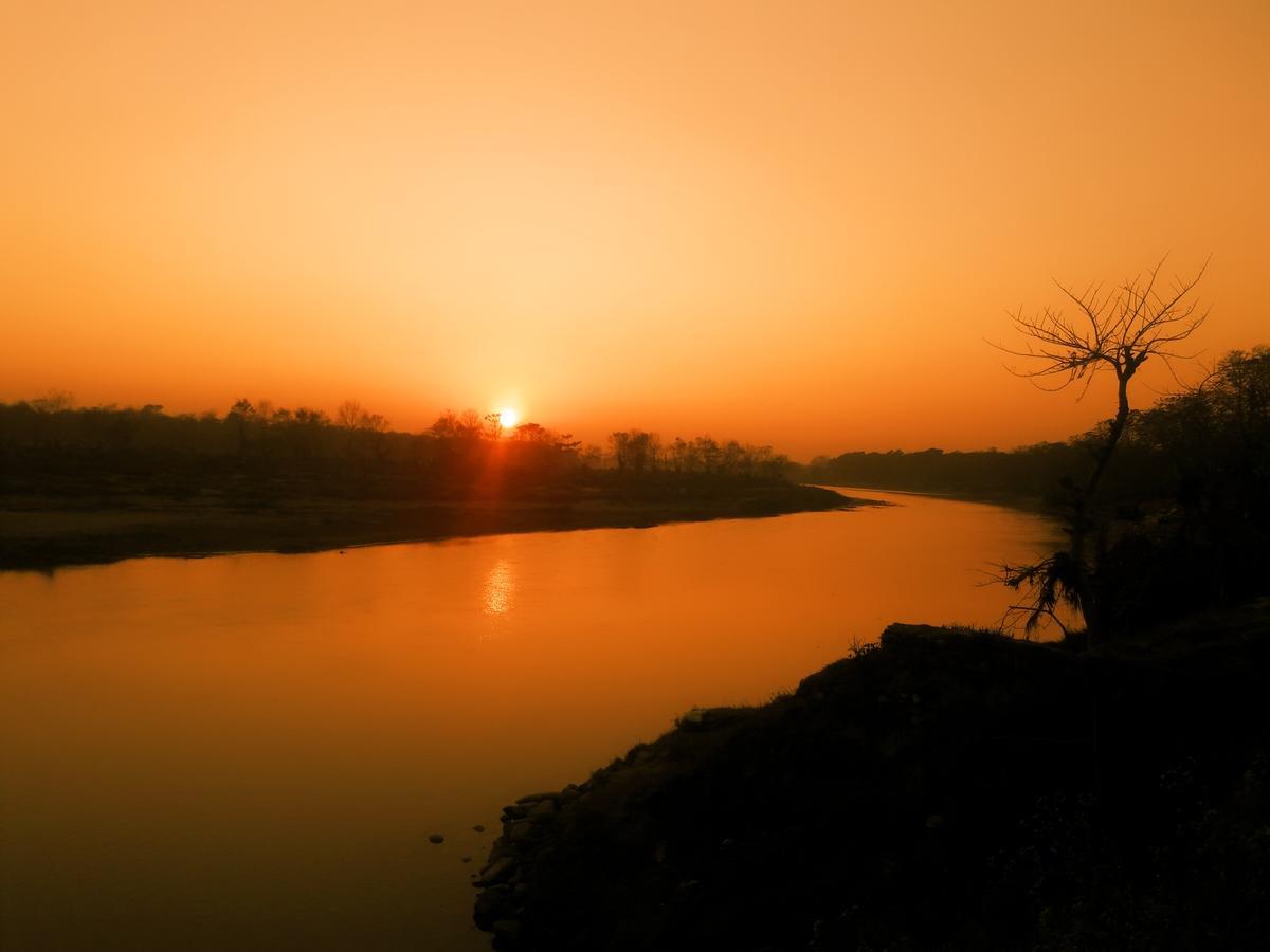 River Park Retreat Sauraha Exterior photo